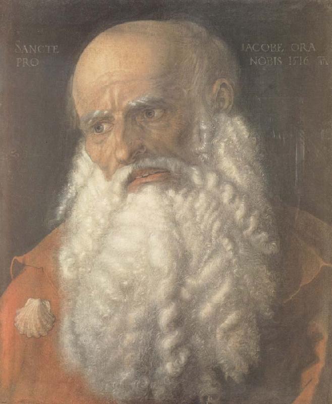 Albrecht Durer Head of the Apostle james oil painting image